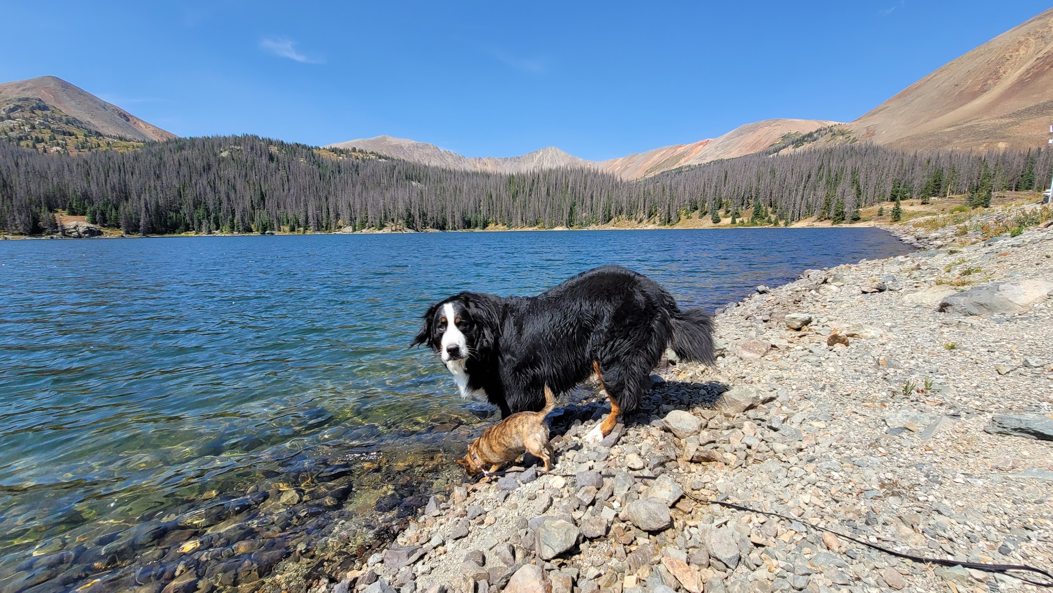 North Fork Campground (Salida, Co)
