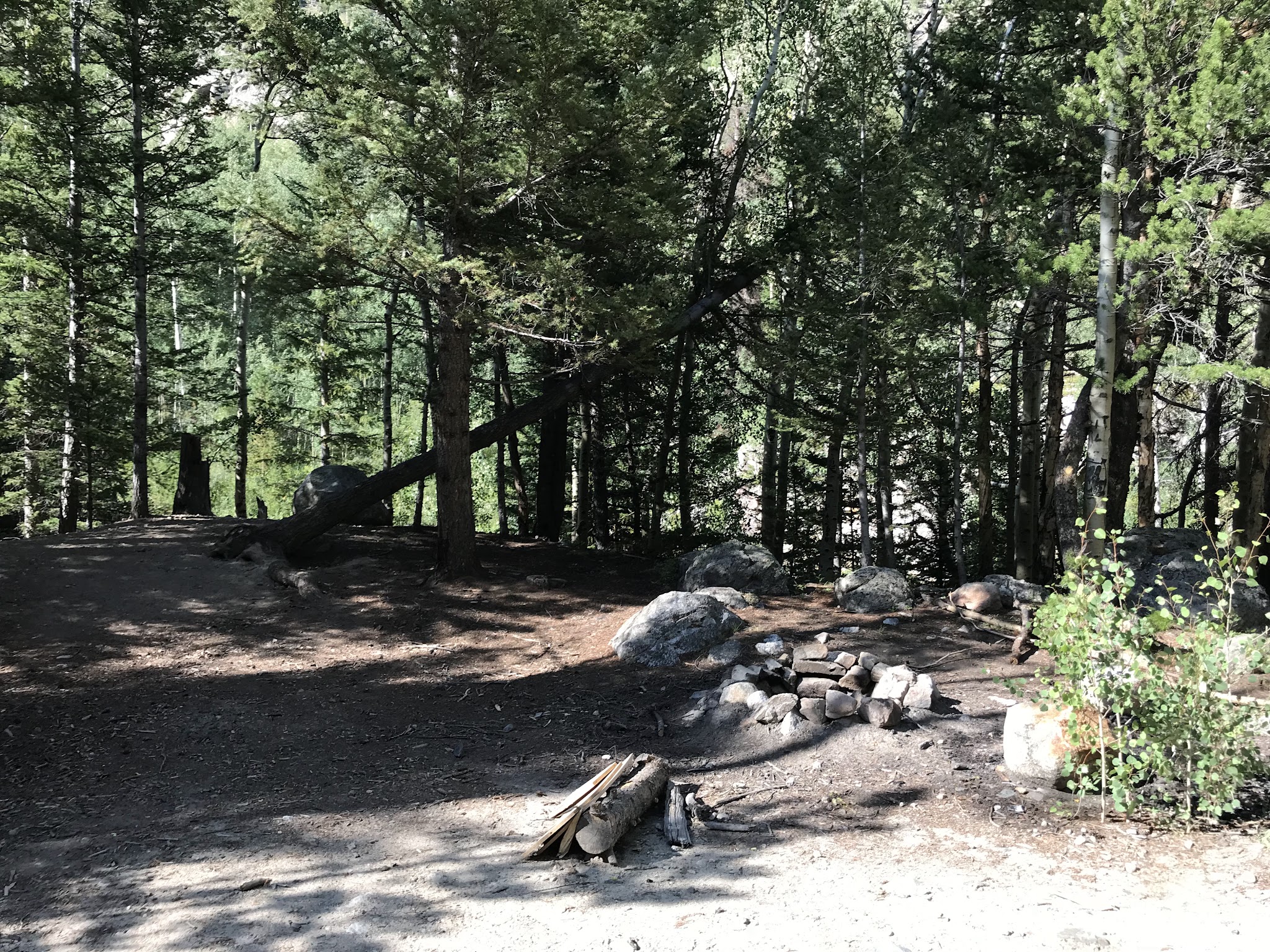 North Fork Campground (Salida, Co)
