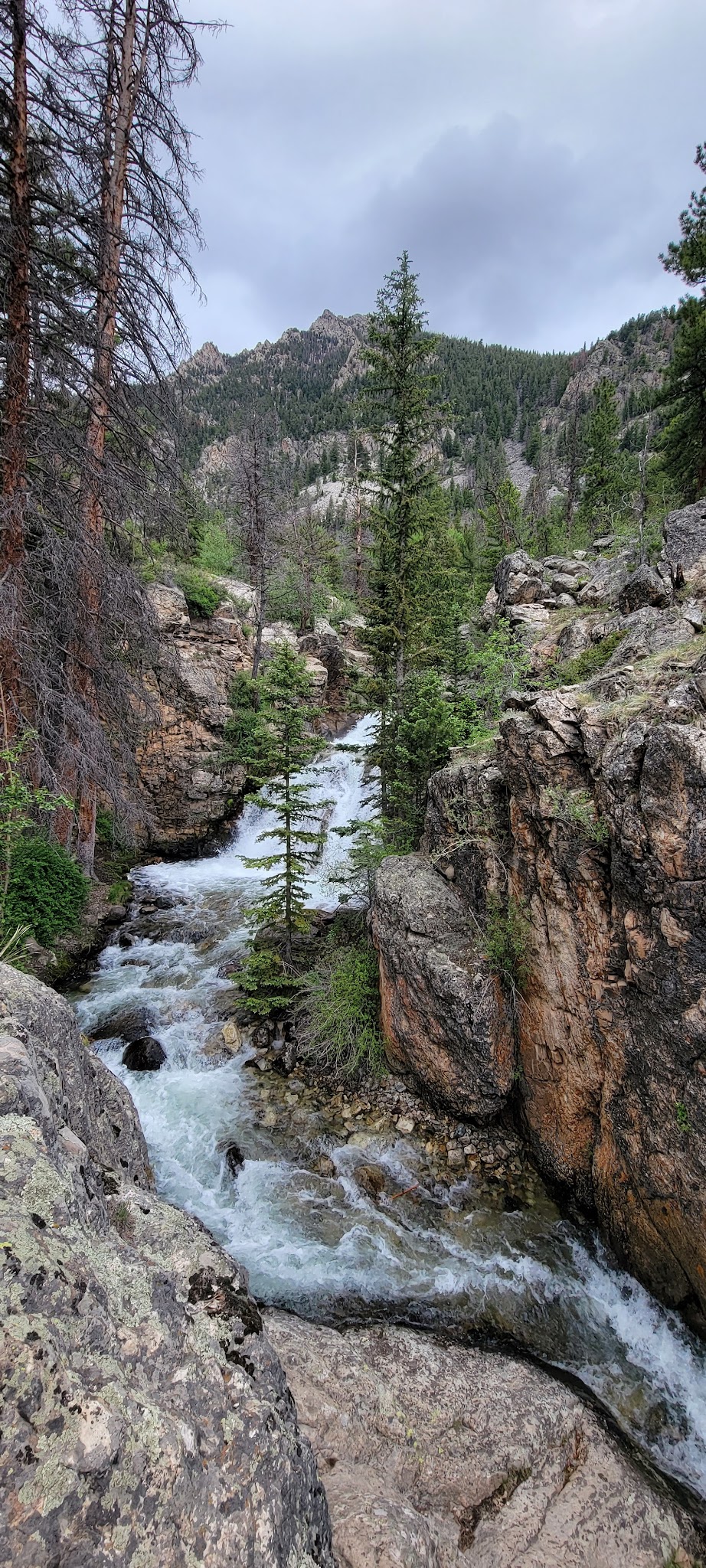 North Fork Campground (Salida, Co)