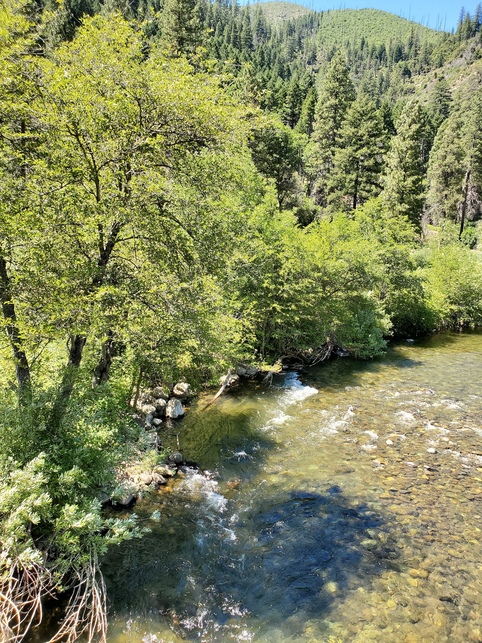 North Fork Campground (Plumas)