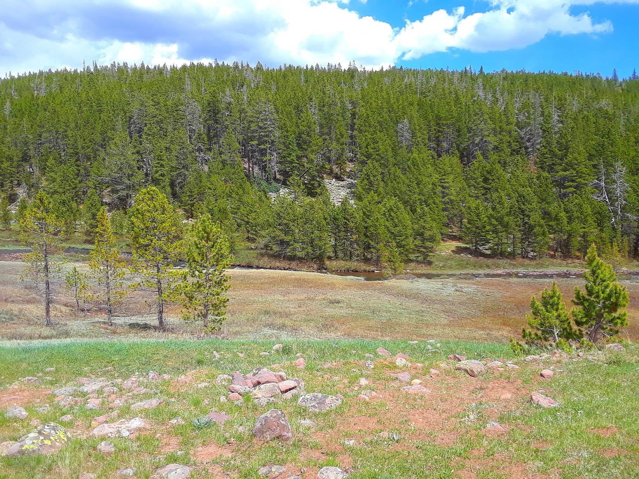 North Fork Camping Area