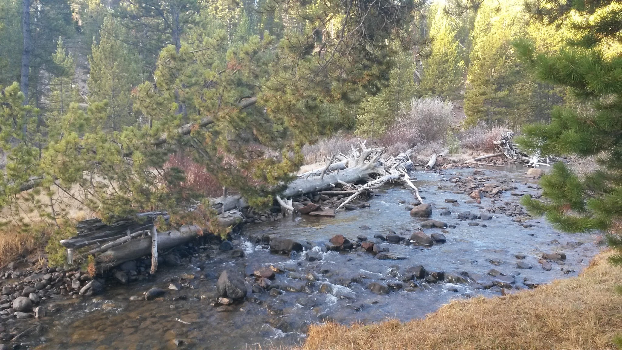 North Fork Camping Area