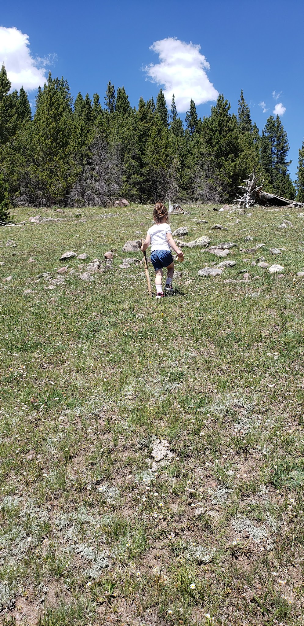 North Fork Camping Area