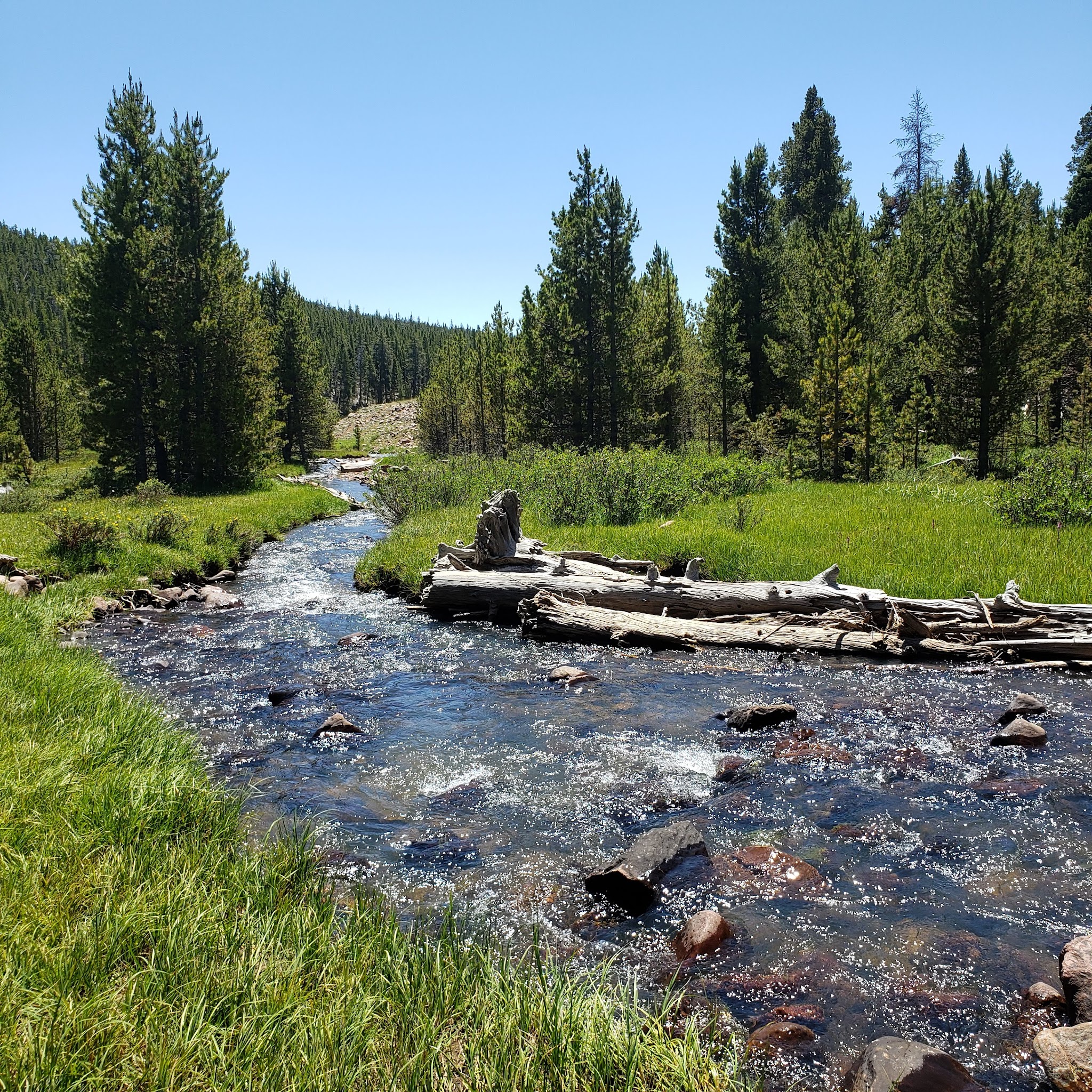 North Fork Camping Area