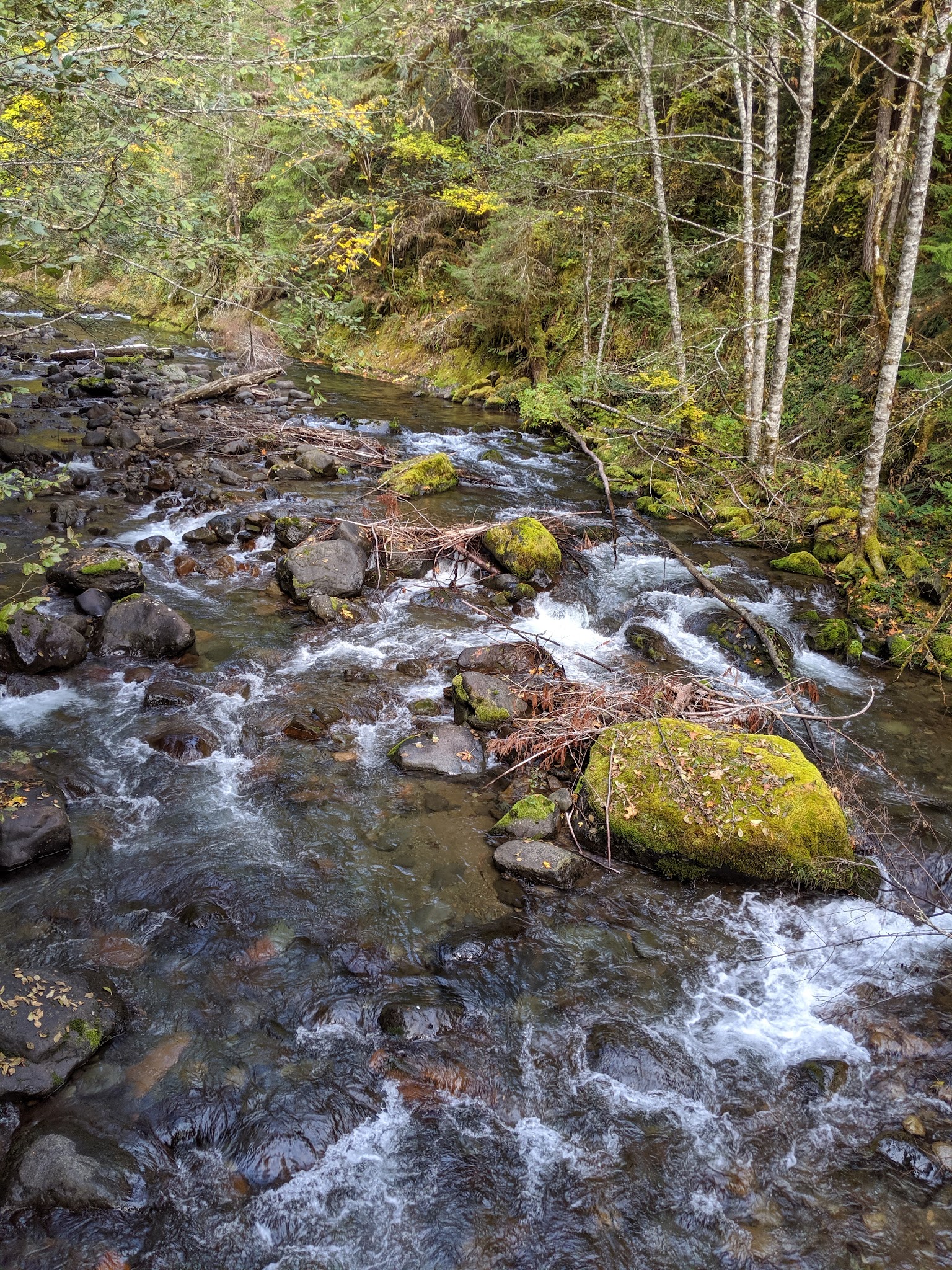 North Fork Elk Group Camp