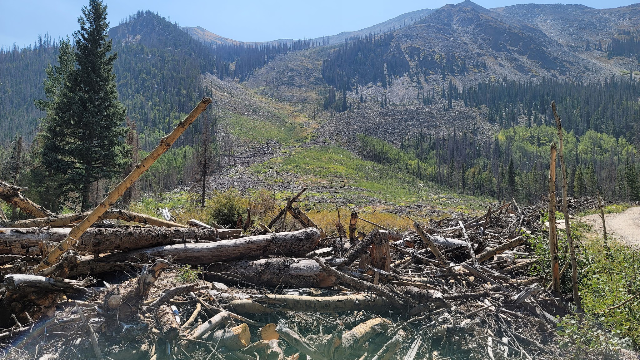 North Fork Campground (Salida, Co)