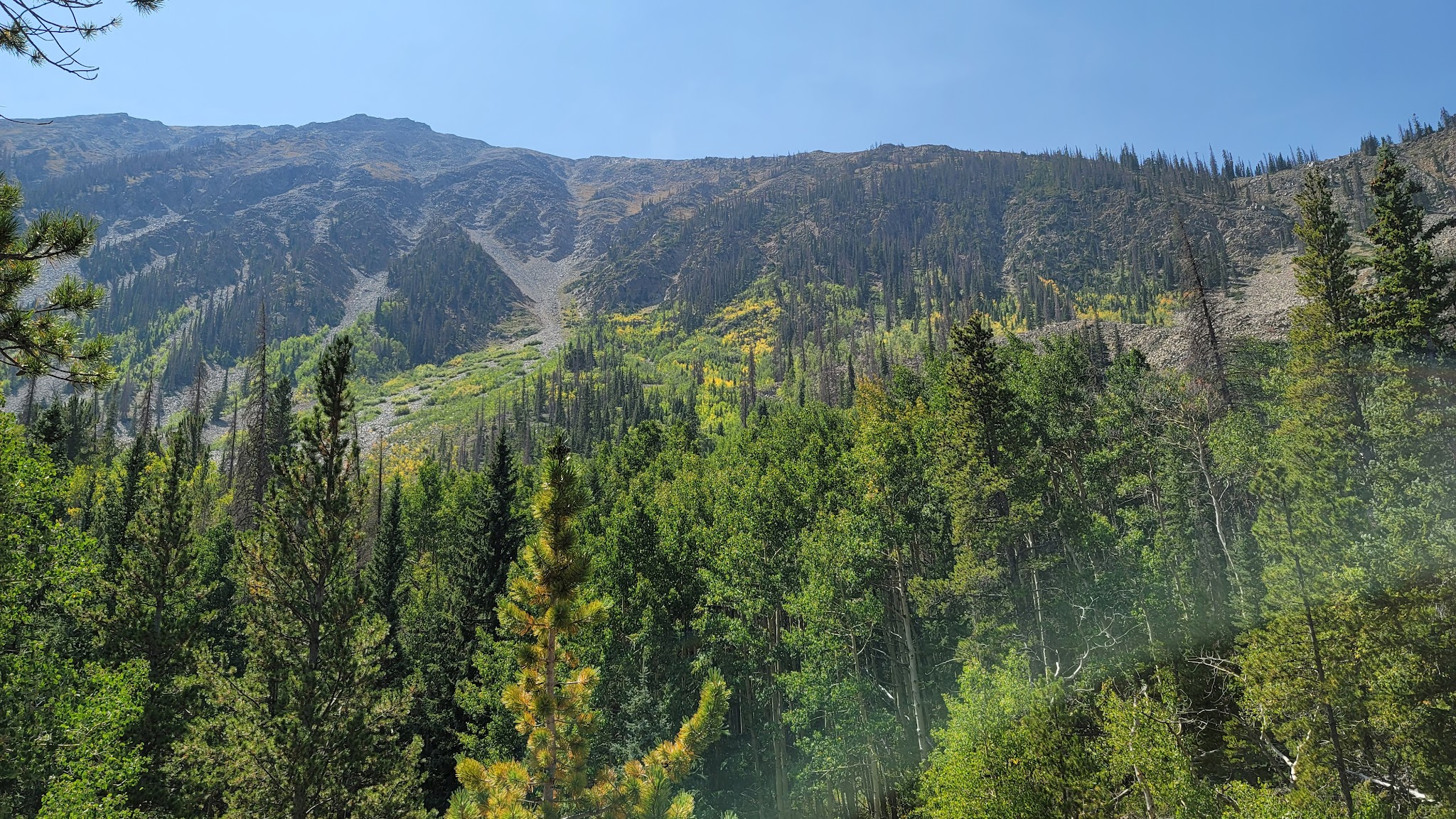 North Fork Campground (Salida, Co)