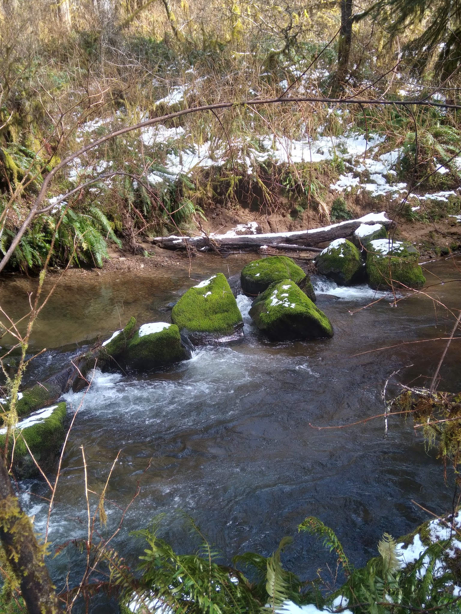 North Fork Siuslaw Campground