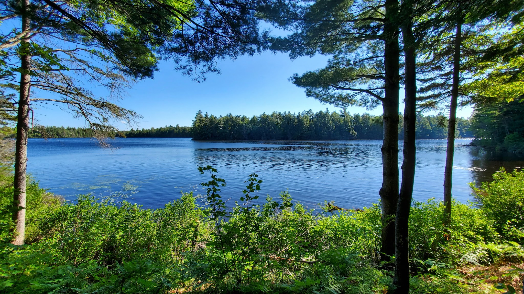 North Gemini Lake State Forest Campground