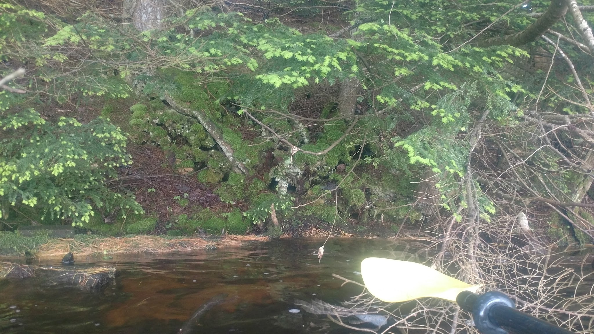 North Gemini Lake State Forest Campground