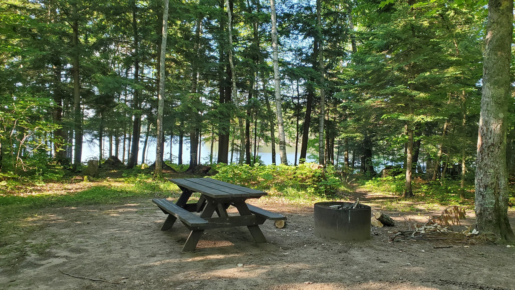 North Gemini Lake State Forest Campground