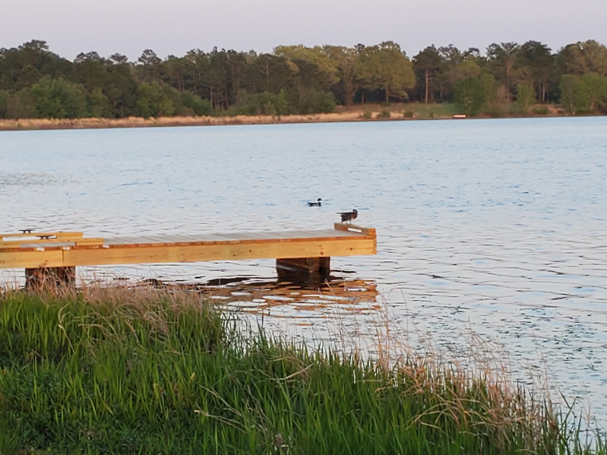 Hurricane Lake North Youth Group Camp Blackwater River State Forest