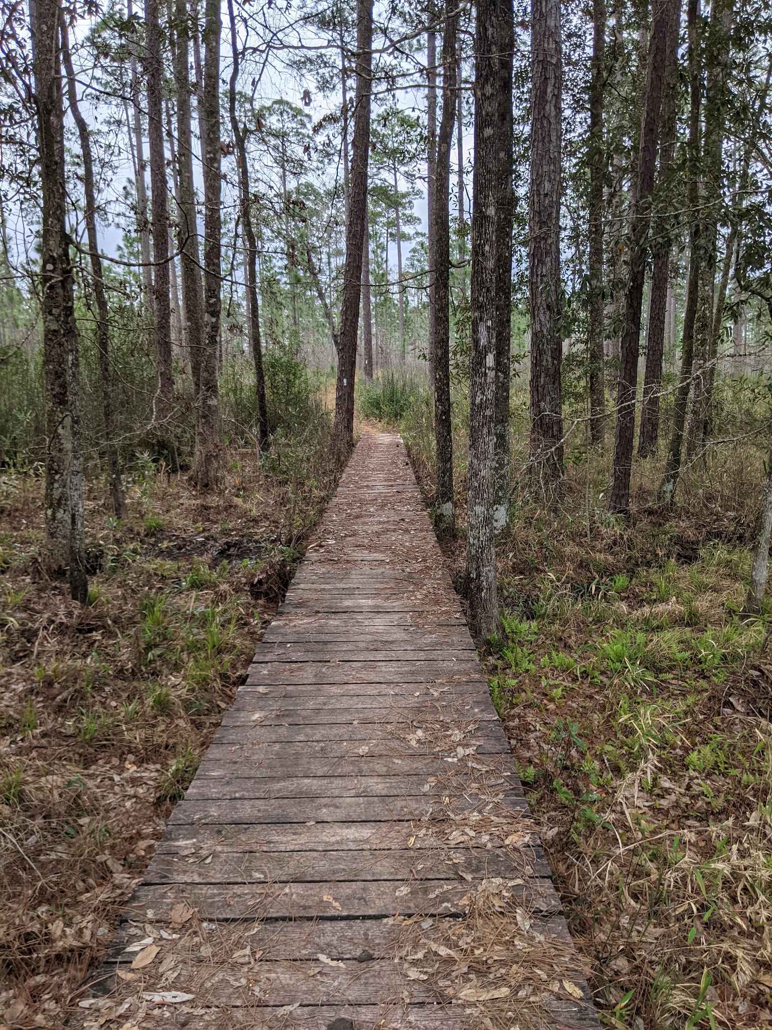 Karick Lake North Youth Group Camp Blackwater River State Forest