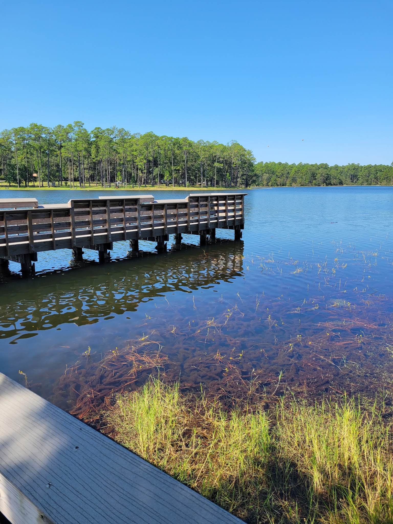 Karick Lake North Youth Group Camp Blackwater River State Forest