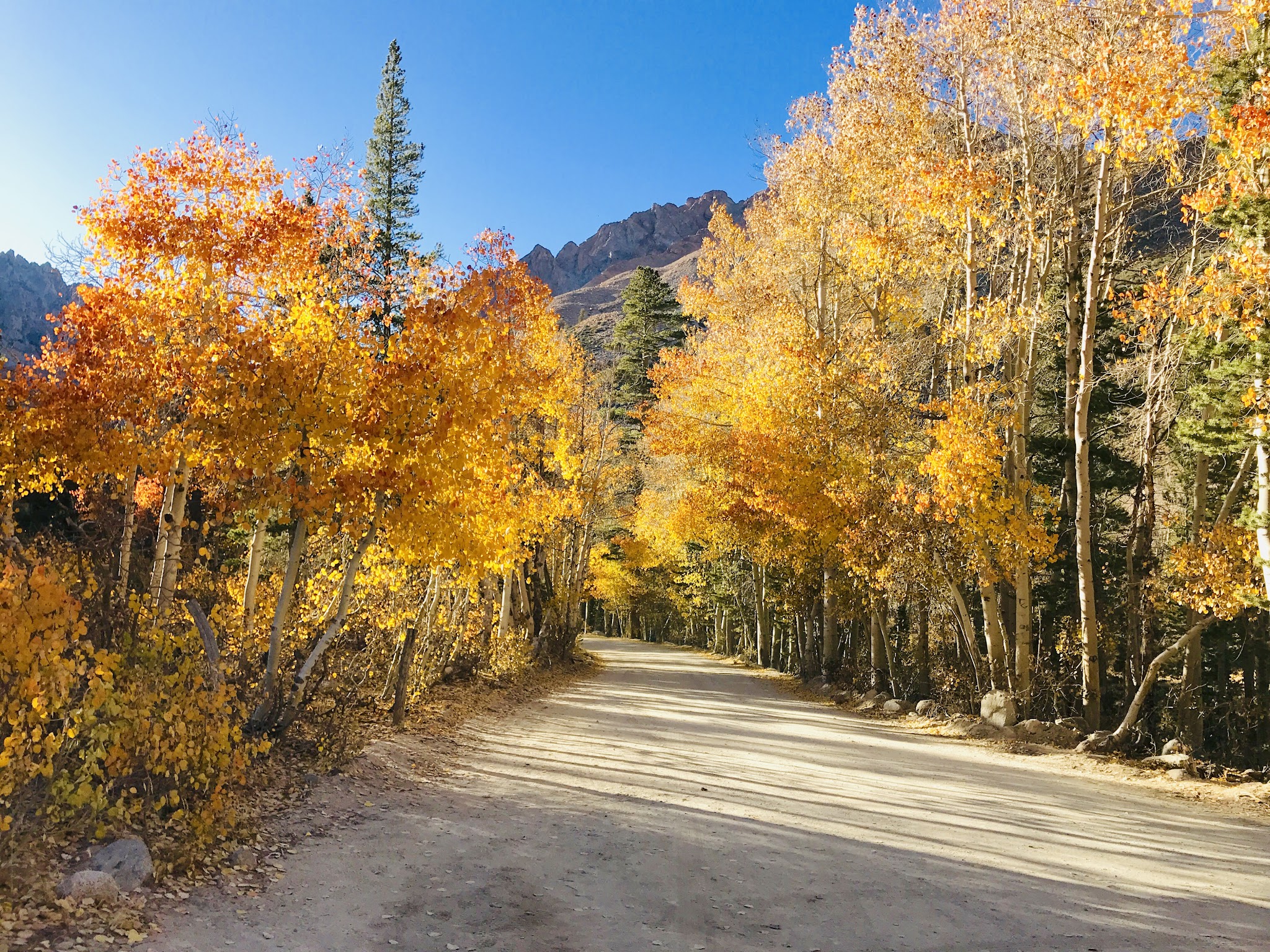 North Lake Campground