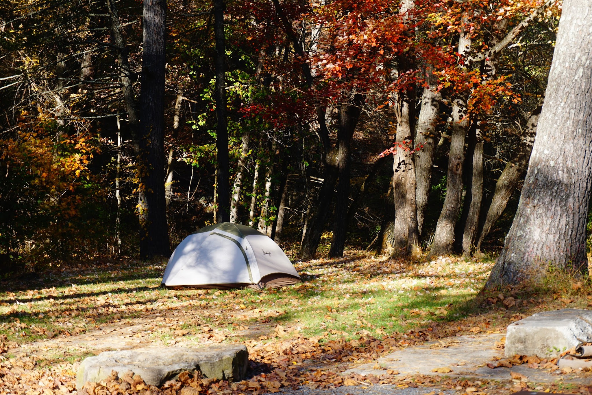 North River Campground