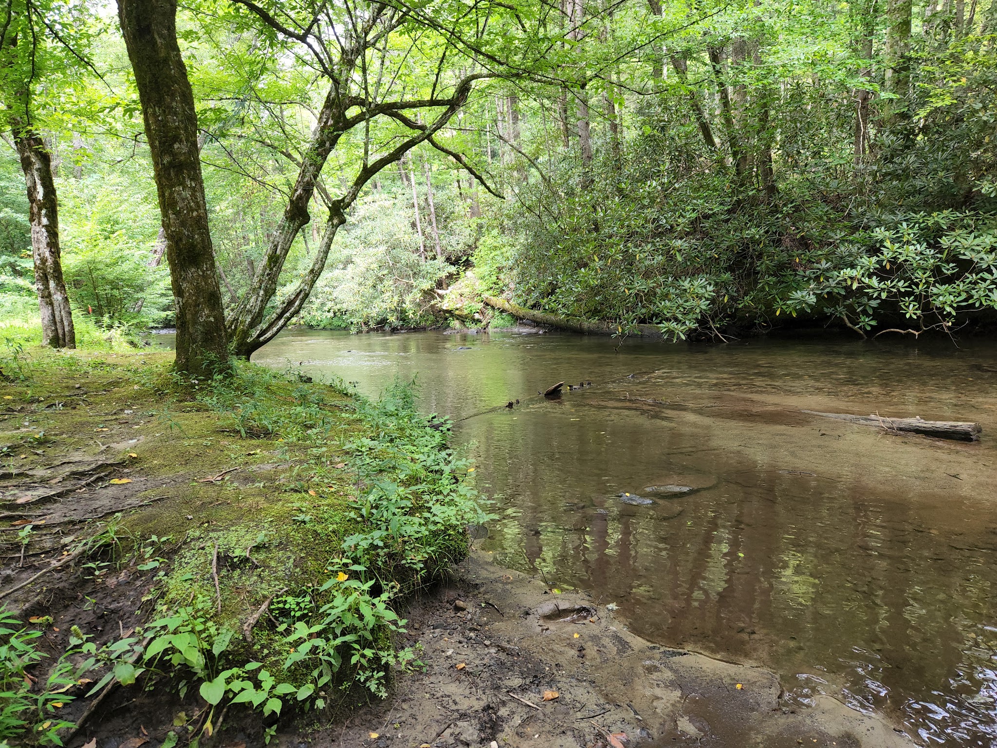 North River Campground