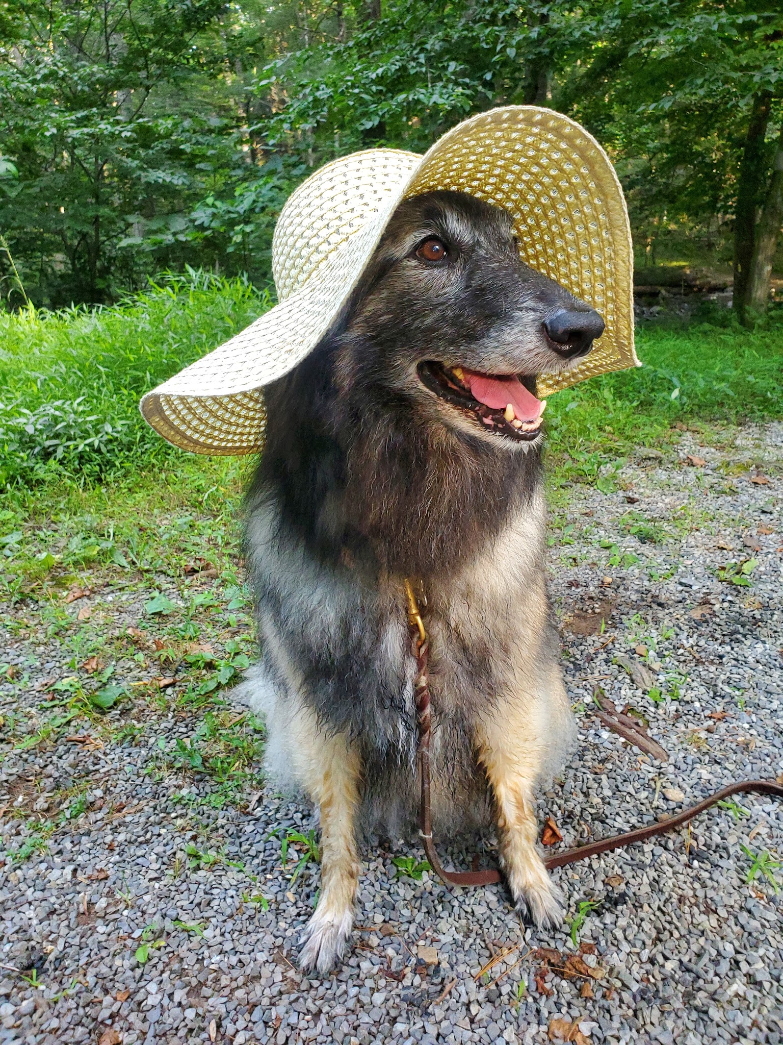 North River Campground