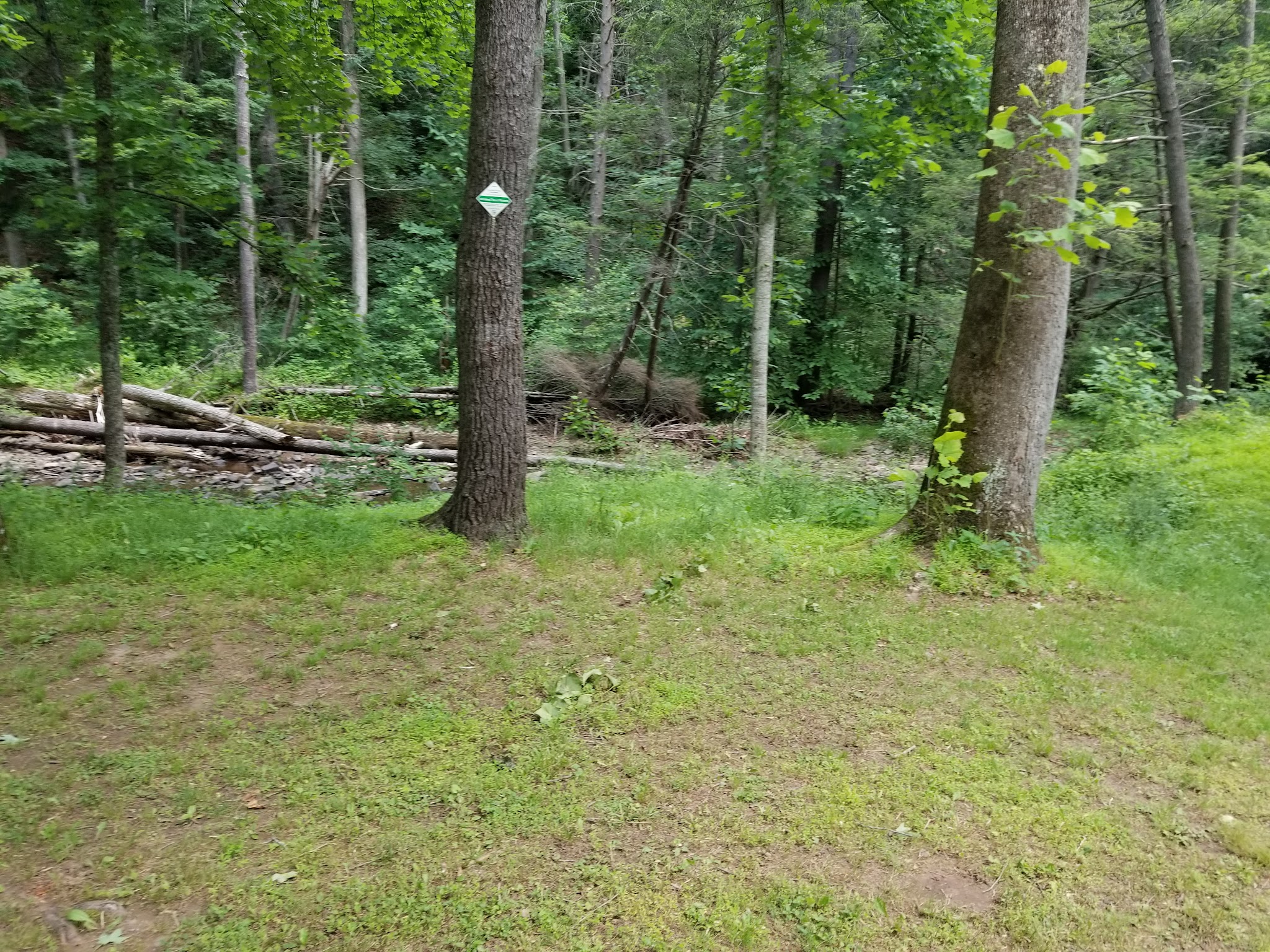 North River Campground