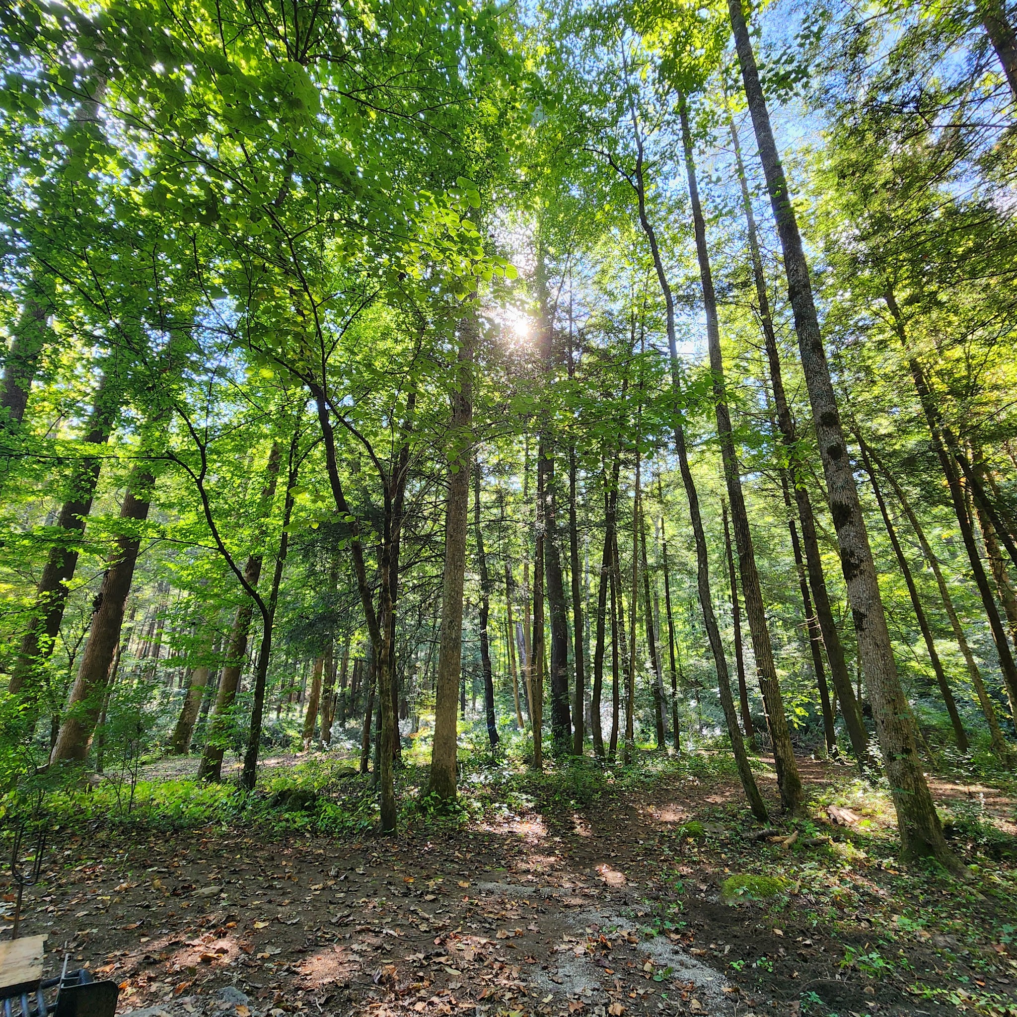 North River Campground