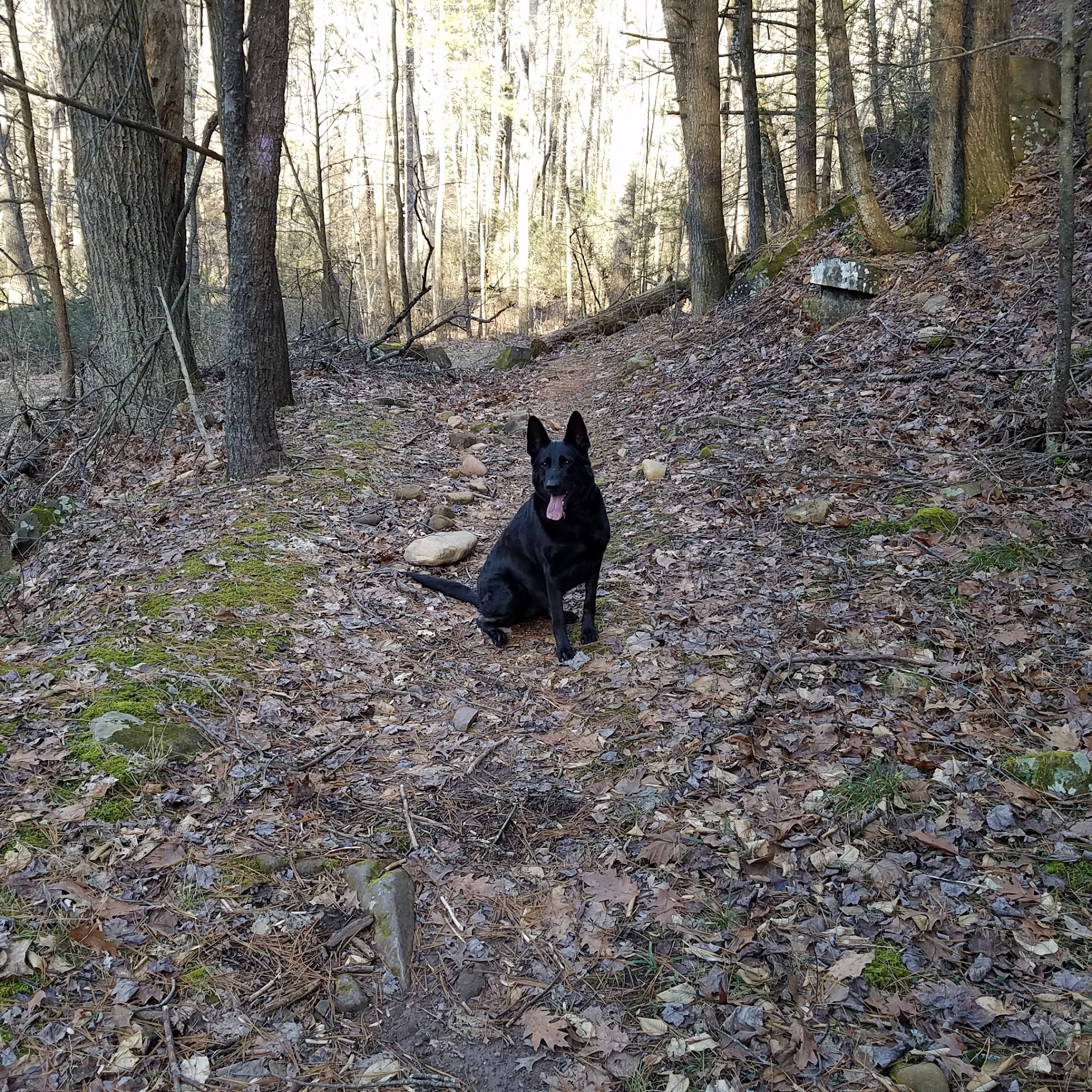 North River Campground