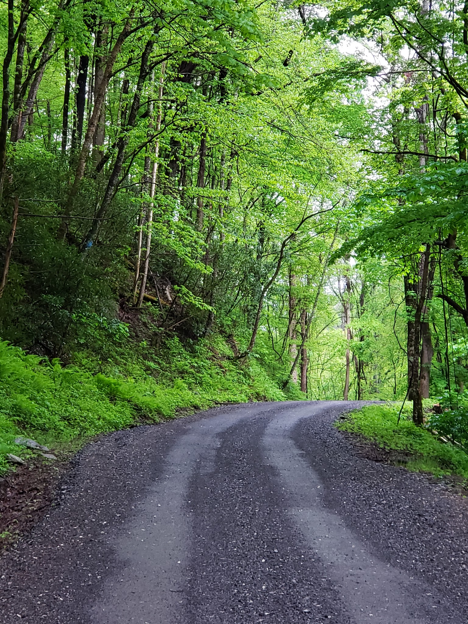 North River Campground