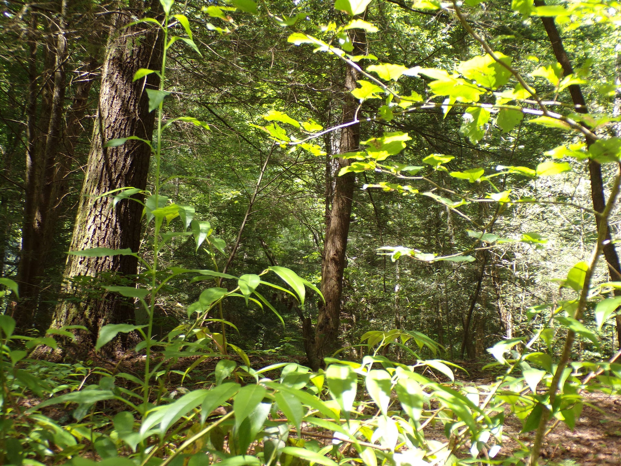 North River Campground