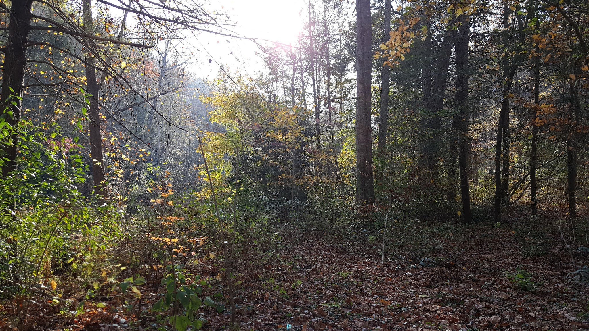 North River Campground