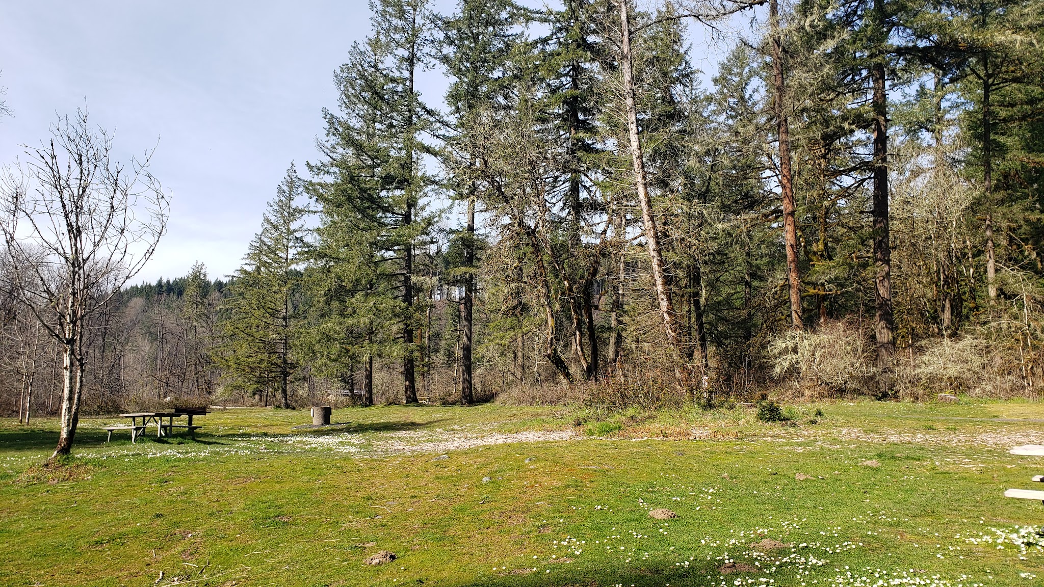 North Santiam State Recreation Area