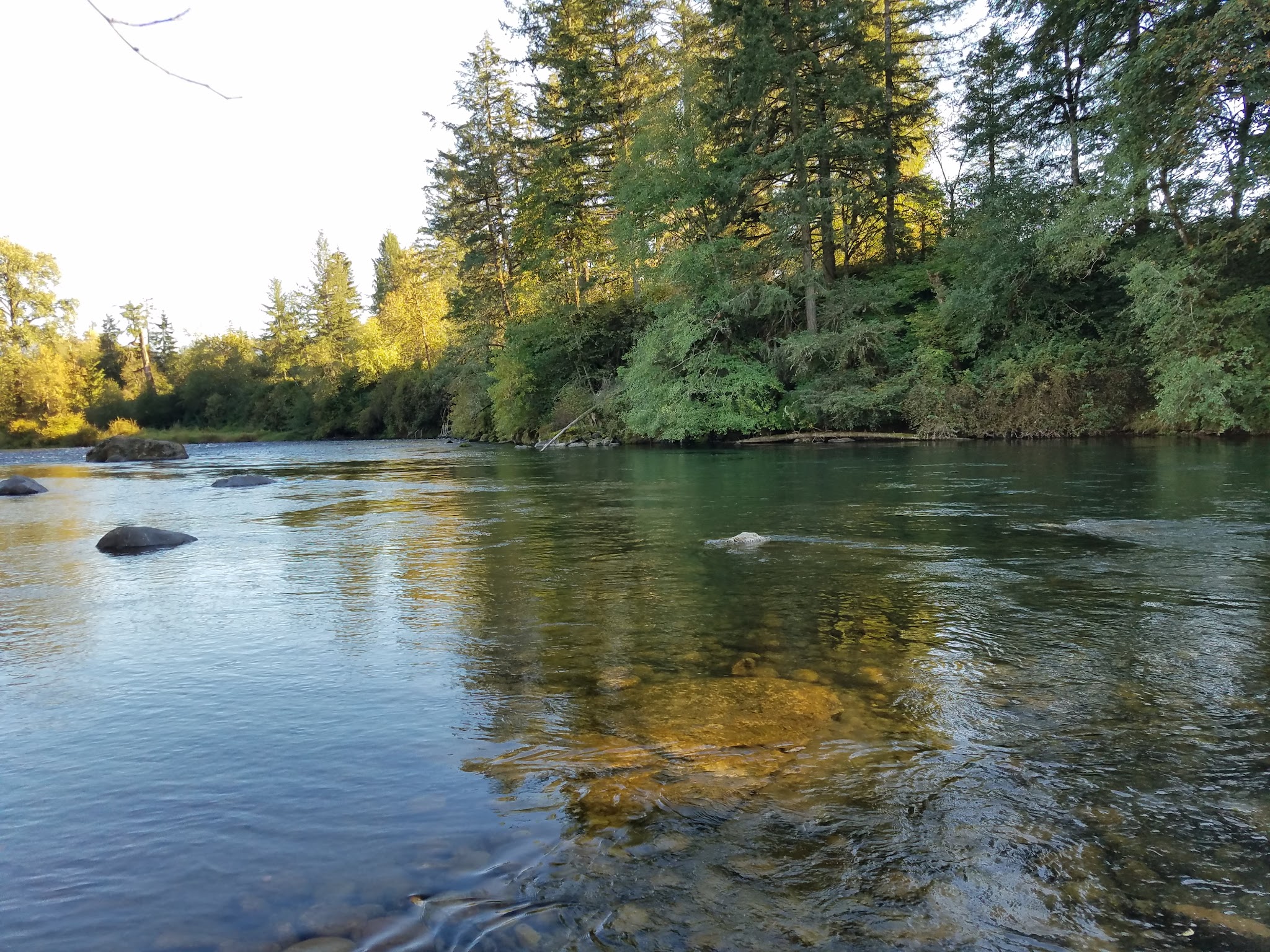 North Santiam State Recreation Area