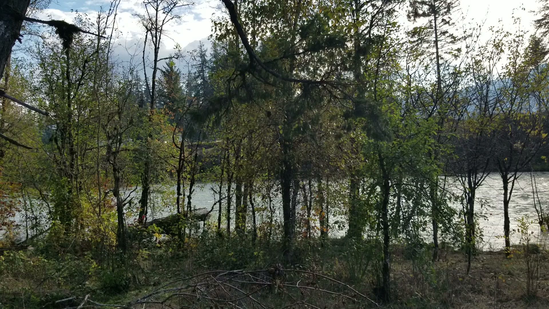 North Santiam State Recreation Area