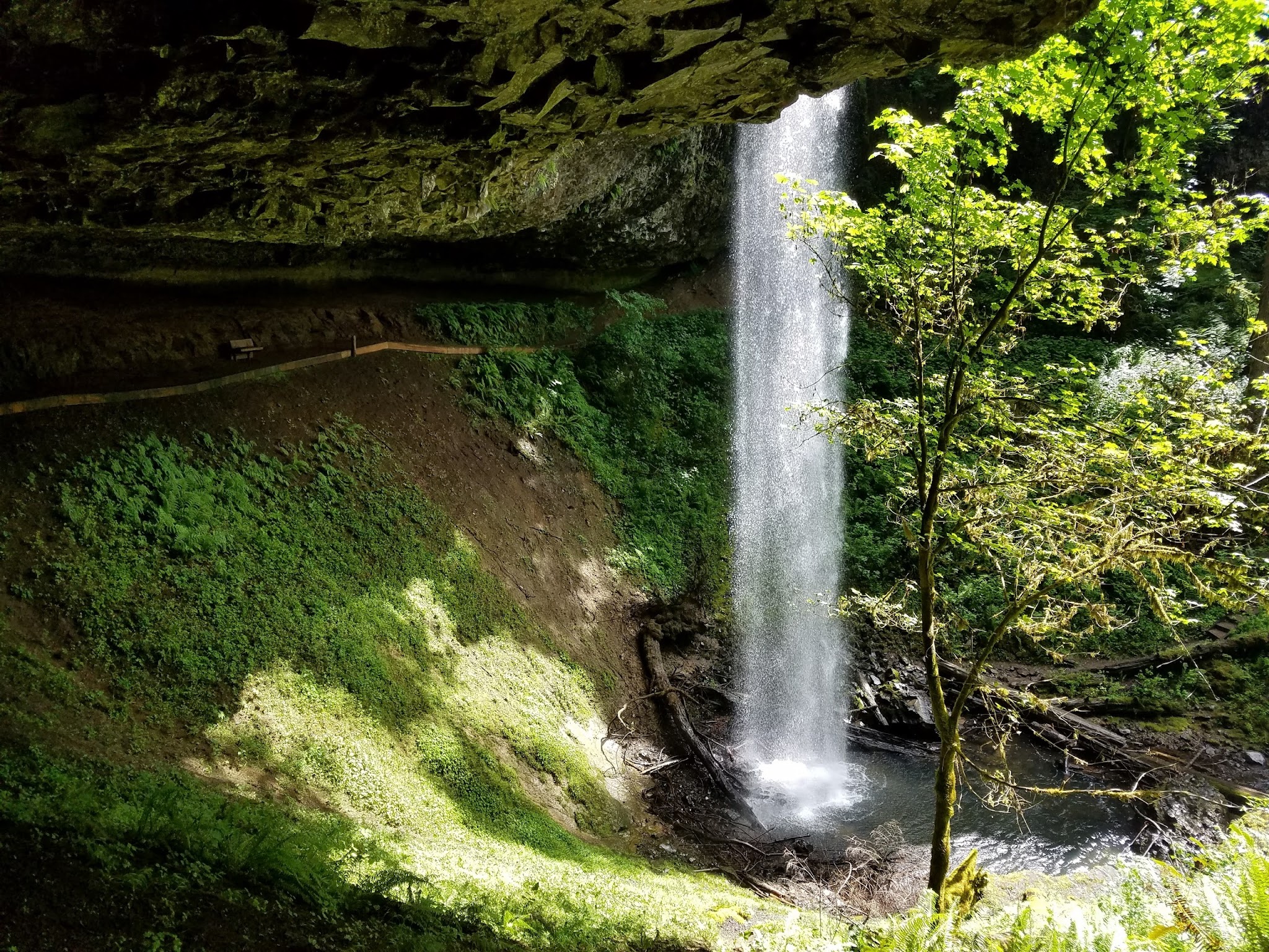 North Santiam State Recreation Area