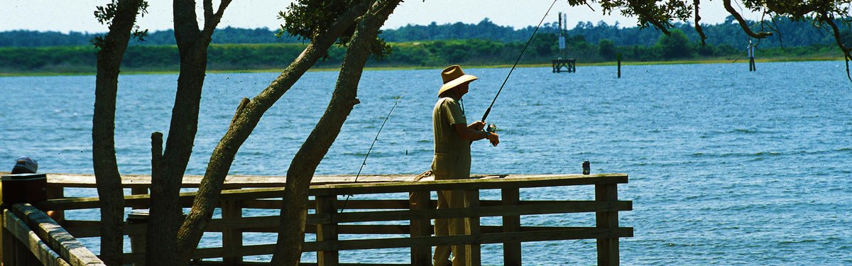 Carolina Beach State Park