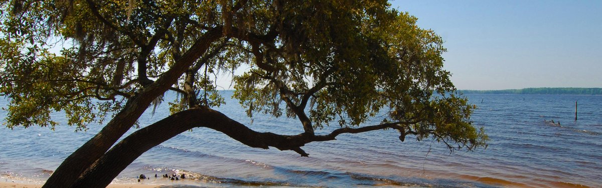 Goose Creek State Park