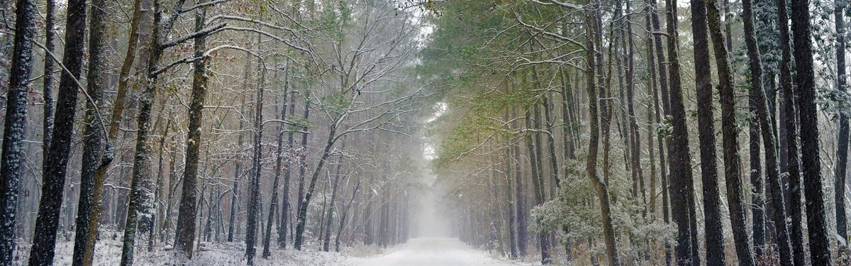 Goose Creek State Park
