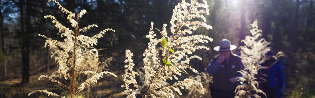 Haw River State Park