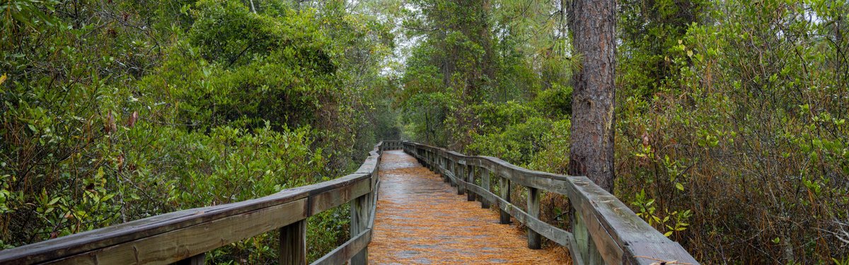Lake Waccamaw State Park