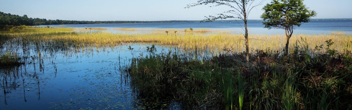 Lake Waccamaw State Park