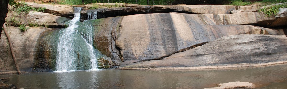 Mayo River State Park