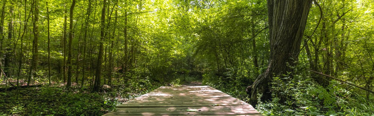 Mayo River State Park