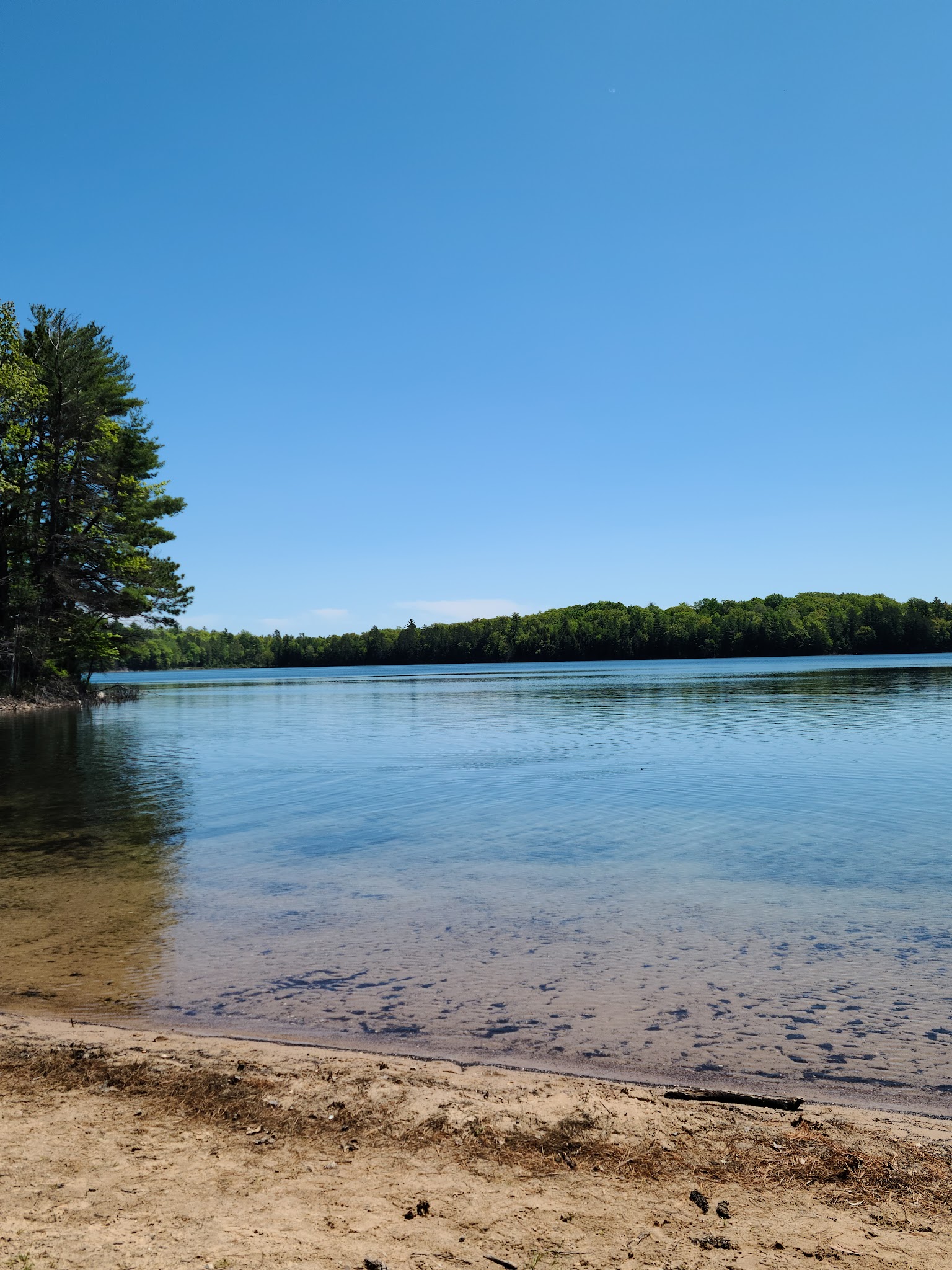 Northern Highland - American Legion State Forest