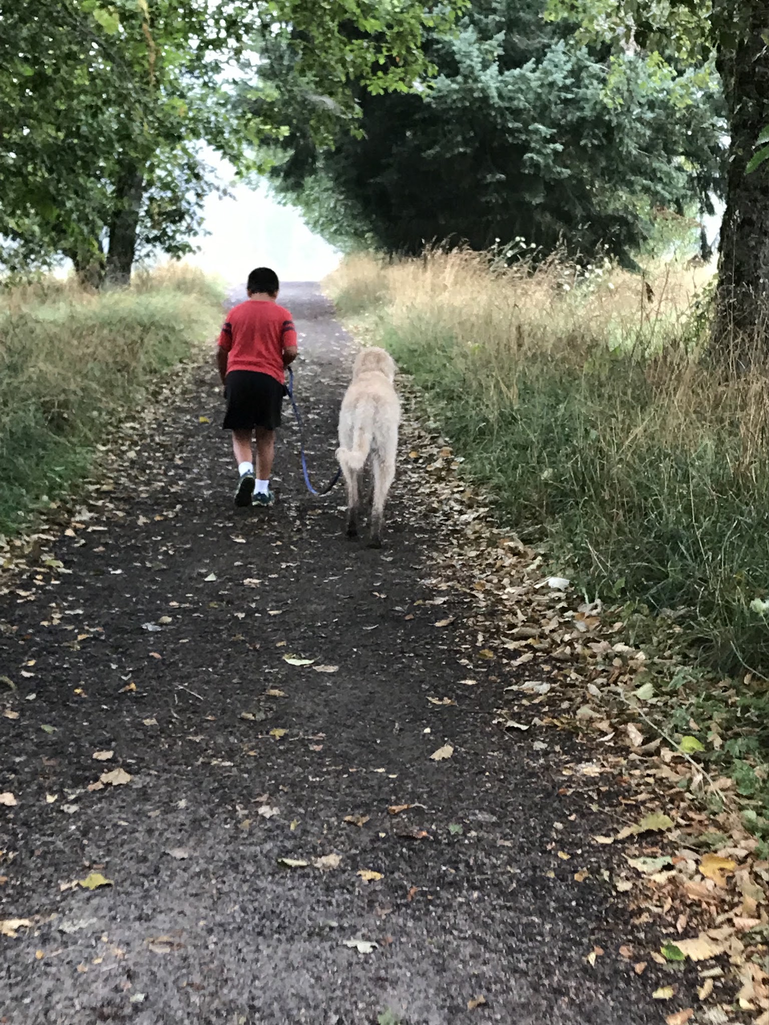 Aspen Ridge Natural Crup Campground