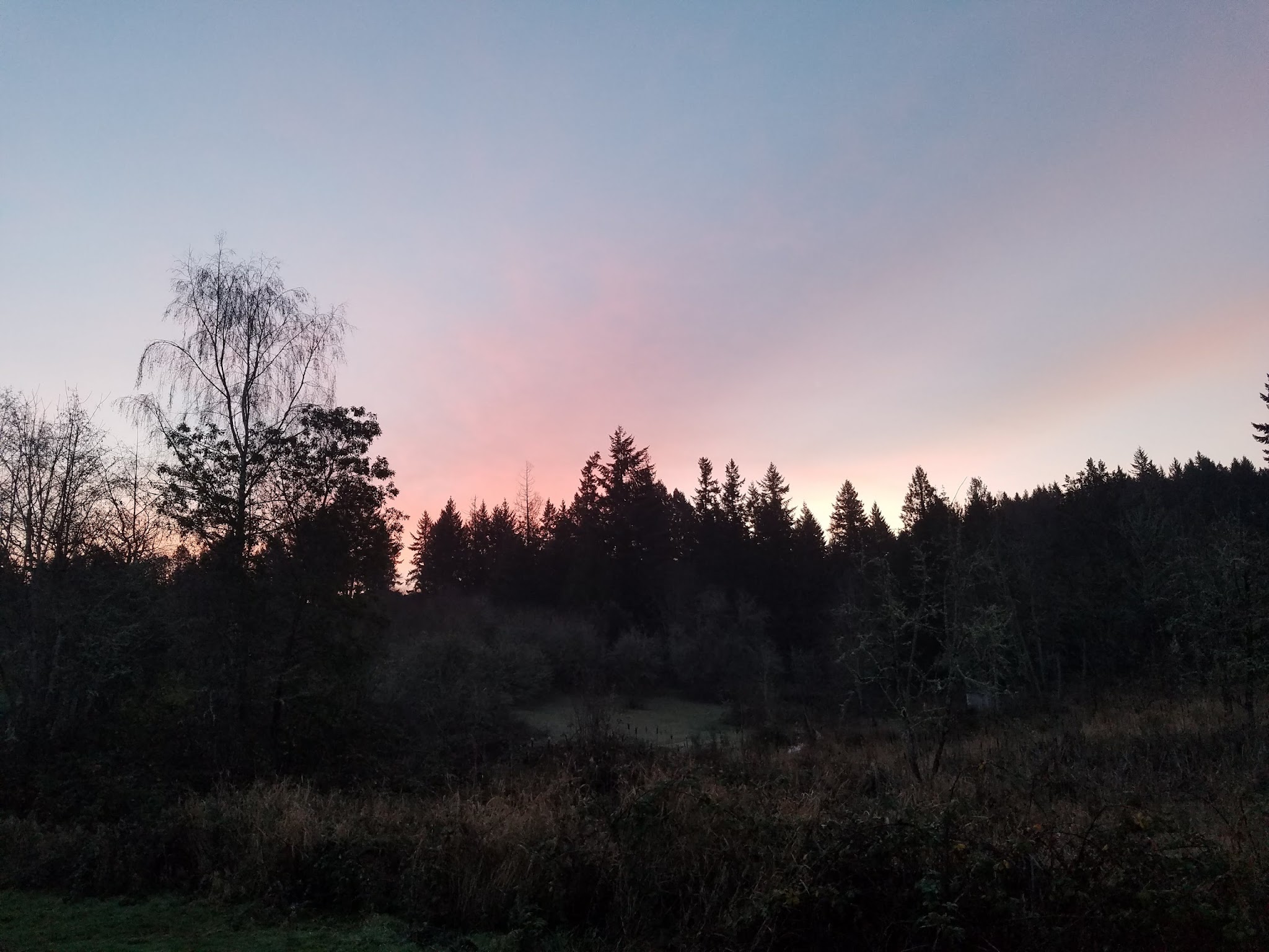 Aspen Ridge Natural Crup Campground