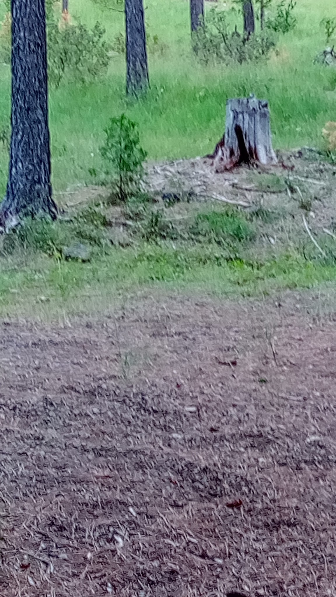 Northwind Campground