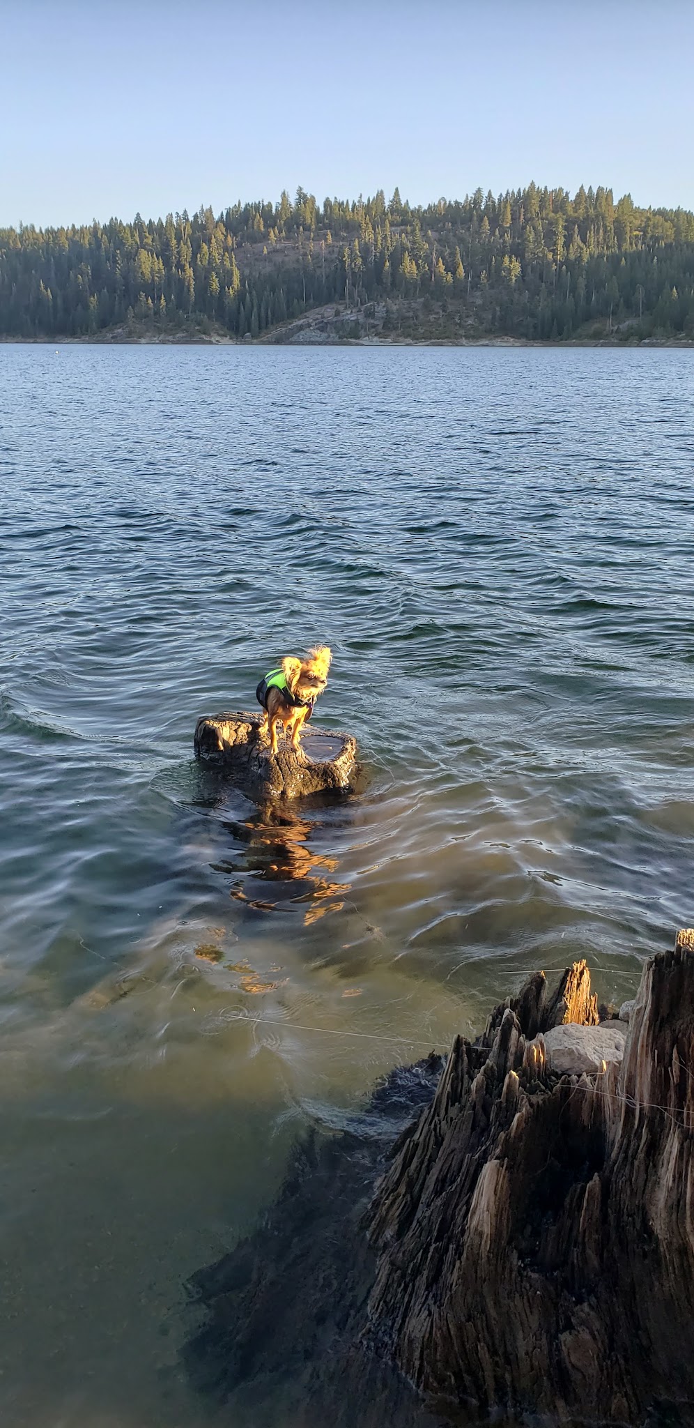 Northwind Campground