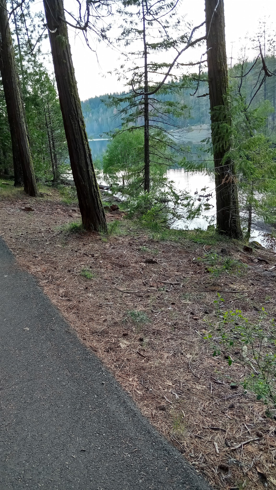 Northwind Campground