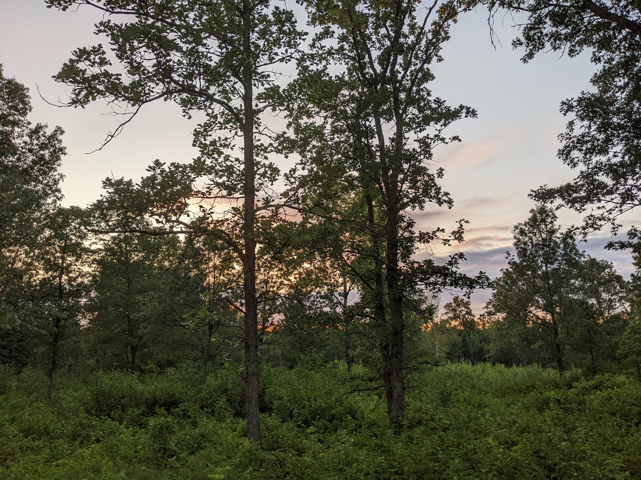Guest Houses - Norway Point Campground