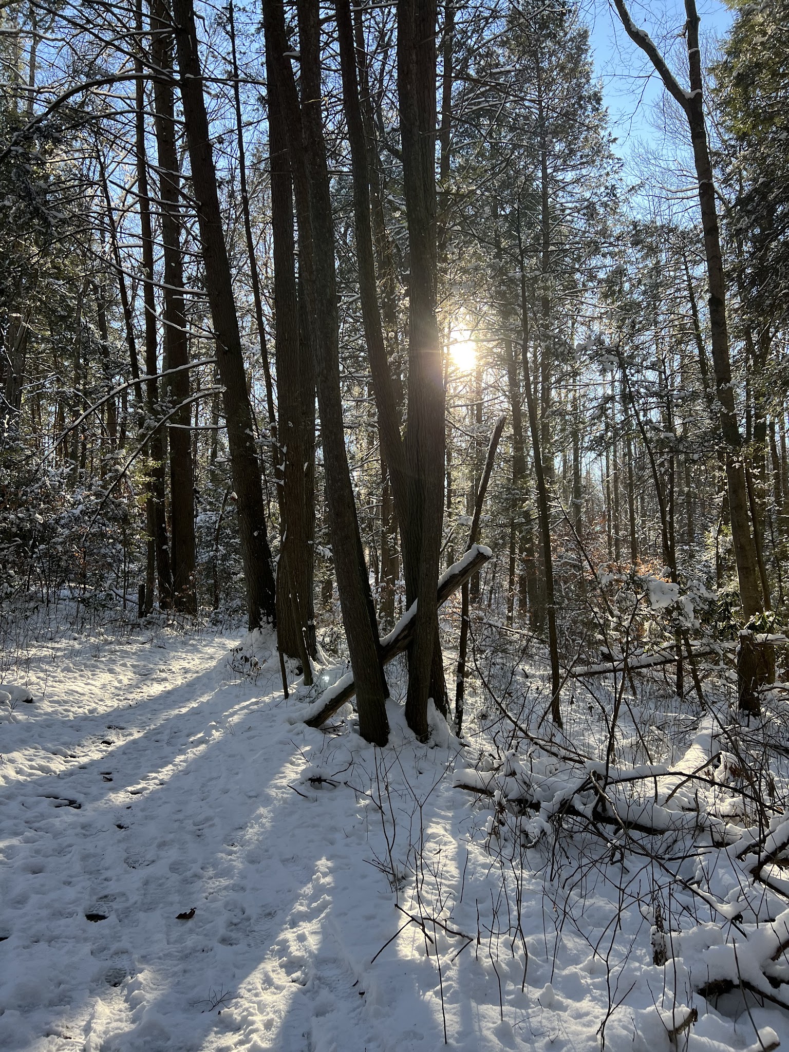 Burnwood Group Campsite