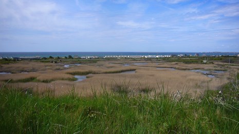 Le Count Beach  House