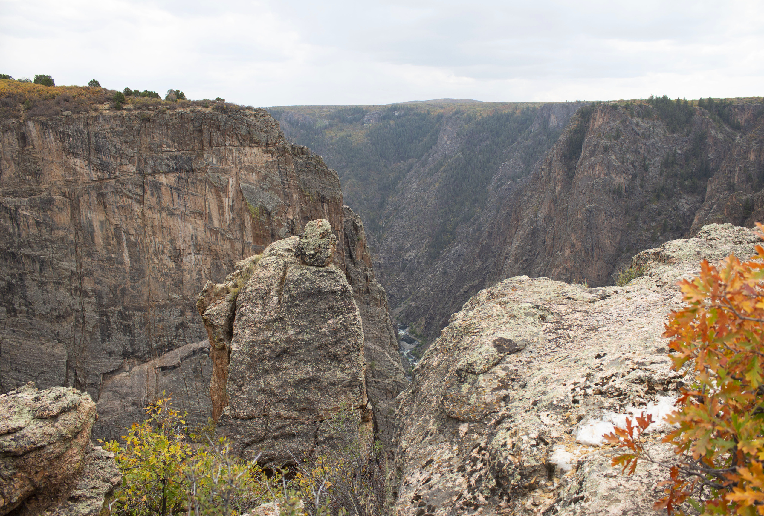 Black Canyon Of The Gunnison North Rim Campground